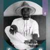 adamasidibe352