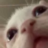thoigianyentinh97