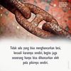 taufiq_23235