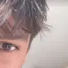 zambaxv7