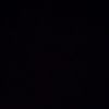 dory_688