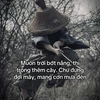 lun.minh.phan