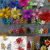 花助理玲玲