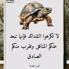ilham.lahmidi7