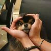 yadanny_mg