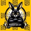 rabbit.km.21