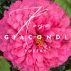 rosegiacondi