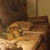 christy.whitehead7