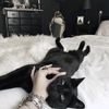 puppetmistressz