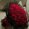 user96105184053797
