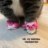 ifficiggvj2