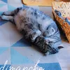 lilou.08150