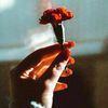 noor.yaseen.wafa