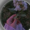 anum.malik055