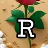 rozeekhan0051