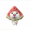 kaa.zanh