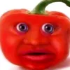 fleshbek66