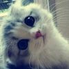 pratikshya_thapa_magar0