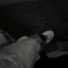 shahd.army16