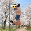 user7260183053798