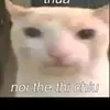 nguyendangviet13