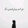 junaid.rajpoot984