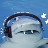 callmeautistic_shark