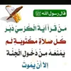 ahmad.mhmad451