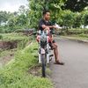 mpbungadesa1