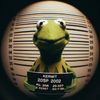 whotfis_kermy