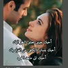 engali953
