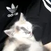narkkkm