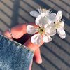 noor.alhoda845