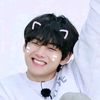 amazingtae6
