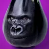 nogaboga142