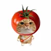 kittymeomeowo