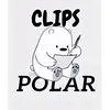 clips_polar