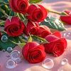 user95096020284008