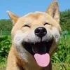 dgkgdgkg