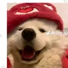 diegotapias82