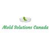 moldsolutionscanada