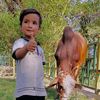 nihal.khan293