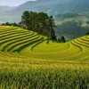 hoangngocnga90