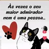 user7066060027744