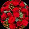 ipek_can36