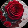 om.sofyan567