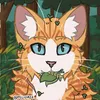 water_paw123
