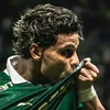 riosdopalmeiras