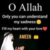 b_kash6