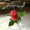 manar.jmo